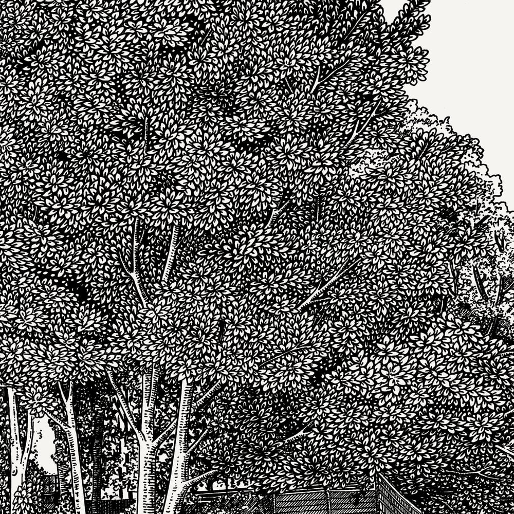 Image of Parkland #1