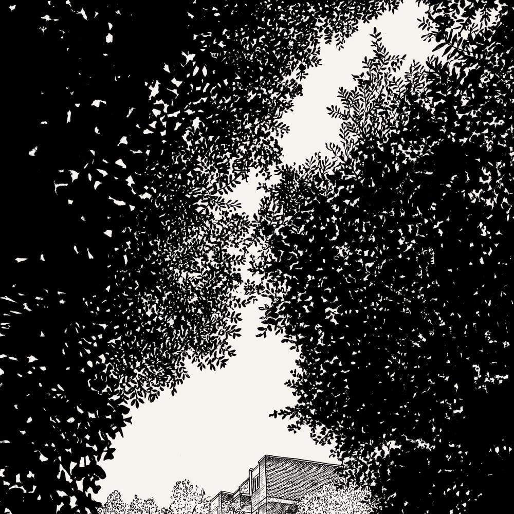 Image of Parkland #5