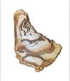 Barbados Topographical Relief
