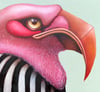 Pink Bird