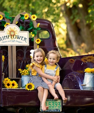 Image of Sunflower Mini Session