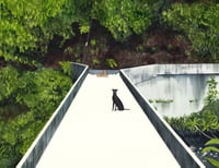 Image 2 of River Guards