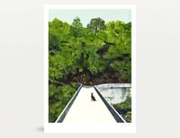 Image 1 of River Guards