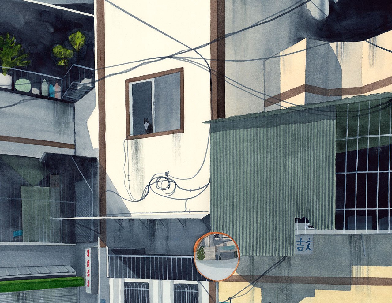 Image of Watching Windows