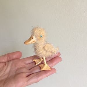 Image of Cornelius the Tiny Duck