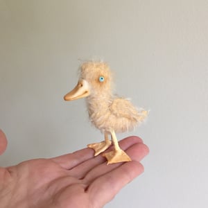 Image of Cornelius the Tiny Duck