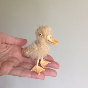 Image of Cornelius the Tiny Duck