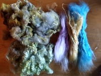 Image 7 of Maryland Winterfest SUPPLY KIT : Inspired by Nature