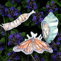 Image 2 of monarch metamorphosis sticker pack
