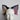 Cat Ears 4', Dark Sorbet Collection