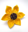 Yellow Collar Flower