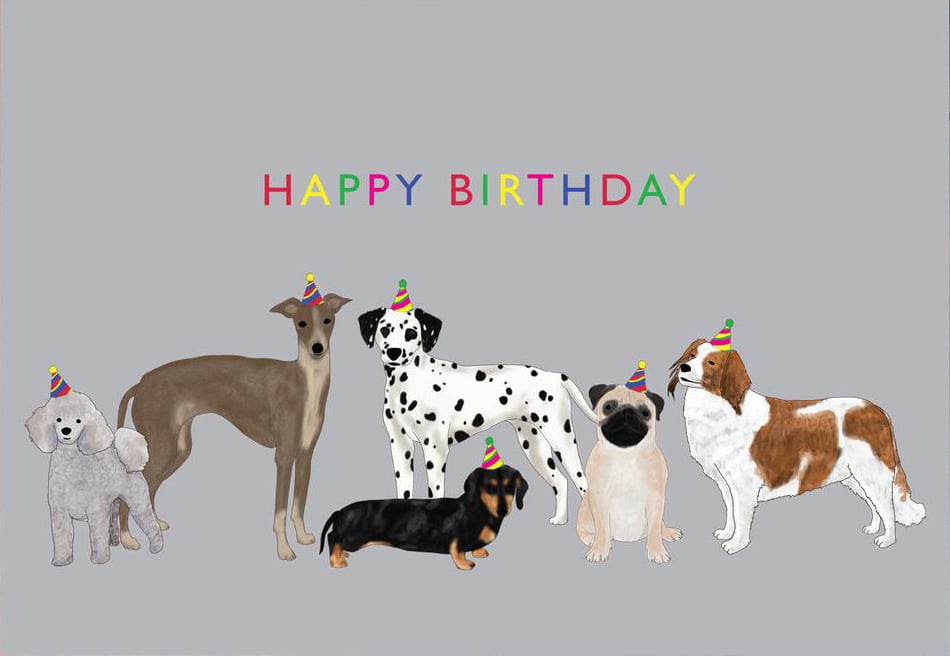 Image of Dogs Birthday Card