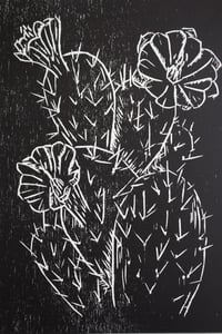 Image 1 of "Cactaceae" Print
