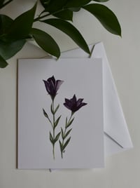 Image 2 of "Platycodon" Card