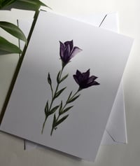 Image 1 of "Platycodon" Card