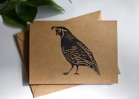 Image 4 of Quail Cards