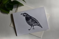 Image 1 of Quail Cards