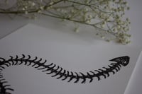 Image 2 of "Vertebrae"  Print