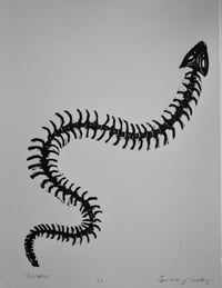 Image 1 of "Vertebrae"  Print