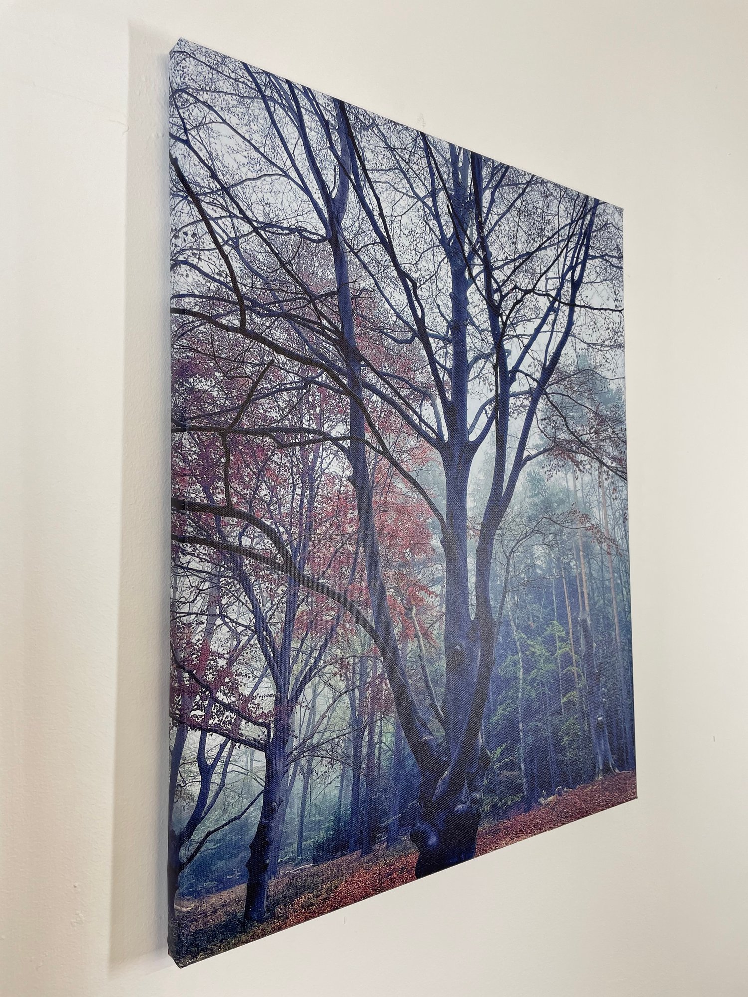 Image of Forest Dreams (60x80)