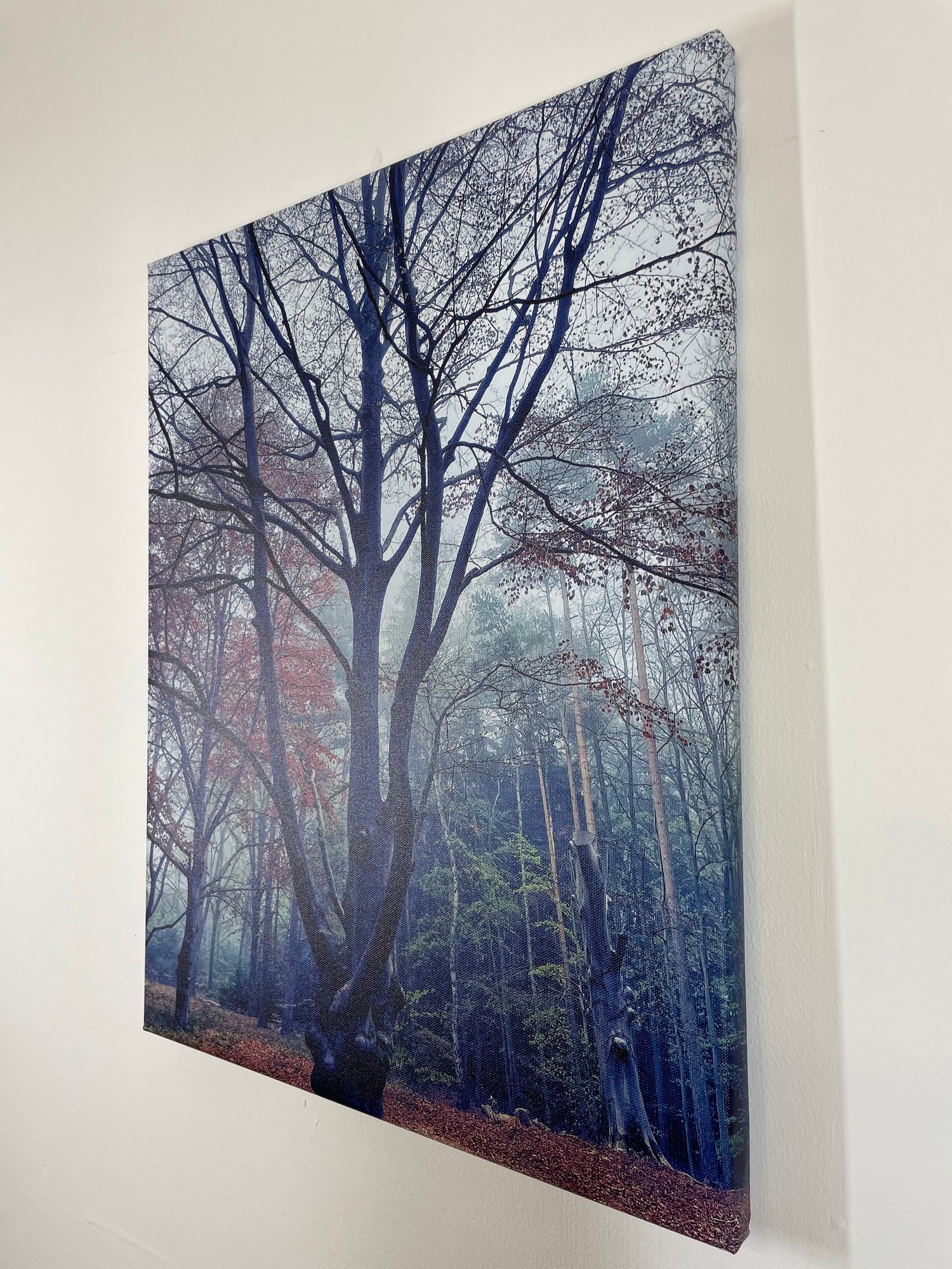 Image of Forest Dreams (60x80)