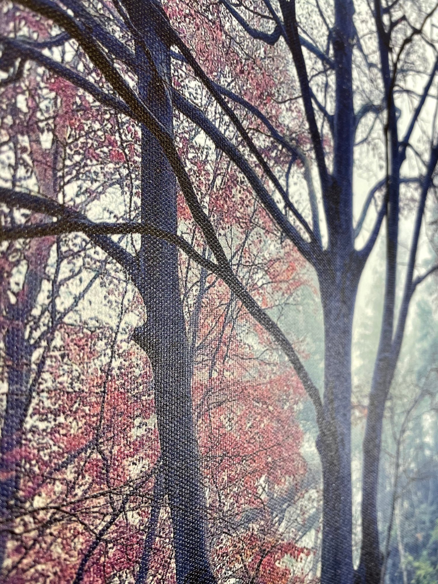 Image of Forest Dreams (60x80)