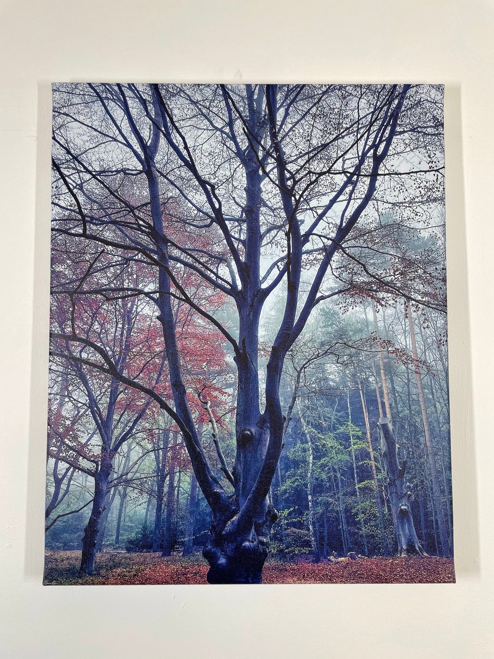 Image of Forest Dreams (60x80)