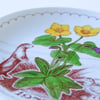  Ltd. Ed. Plate 1977 