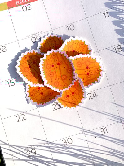 Image of Spikey Kiwano Fruit Dude