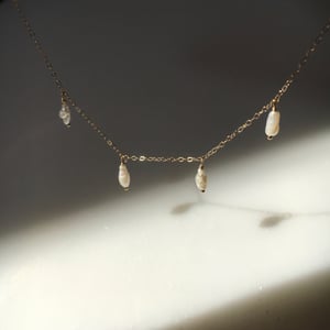 Image of aril necklace