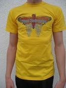 Image of Moth design