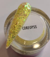 ACRYLIC - Coreopsis 