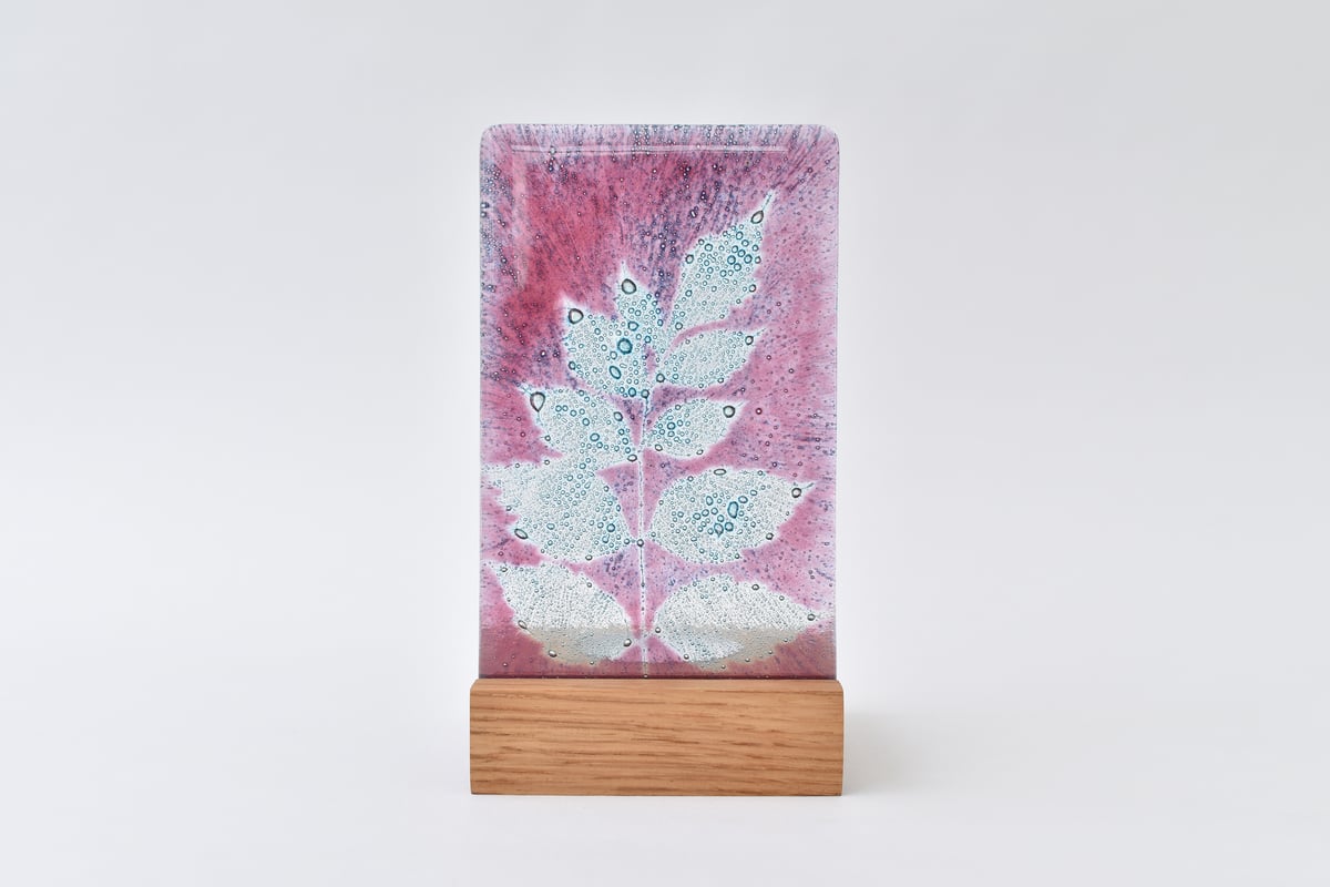 Image of Pink Golden Rain Tree Leaf Single T-light