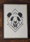 Panda & Triangle