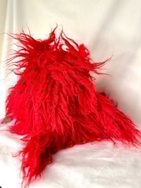 Image 3 of Cat with red wavy fur 