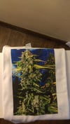 Blue Dreamz