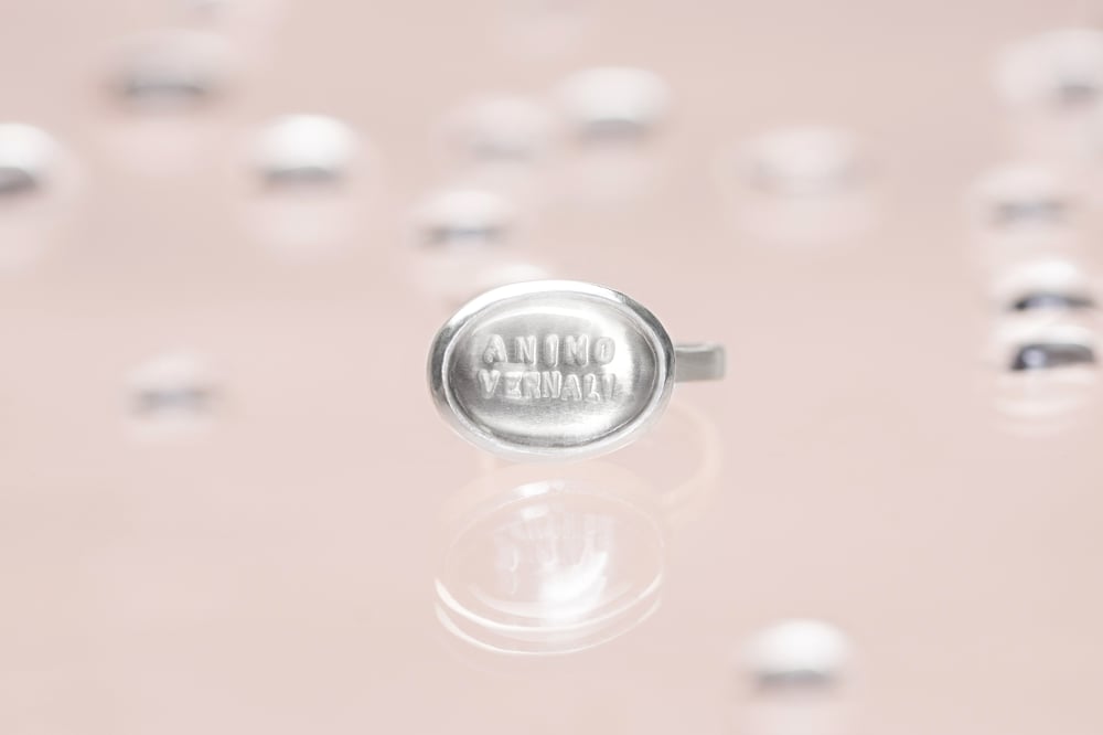 Image of "Spring breath" silver ring with rock crystal · ANIMO VERNALI ·