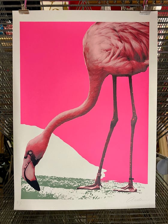 Image of FlamingoRama {2012 Archives/Rare} 