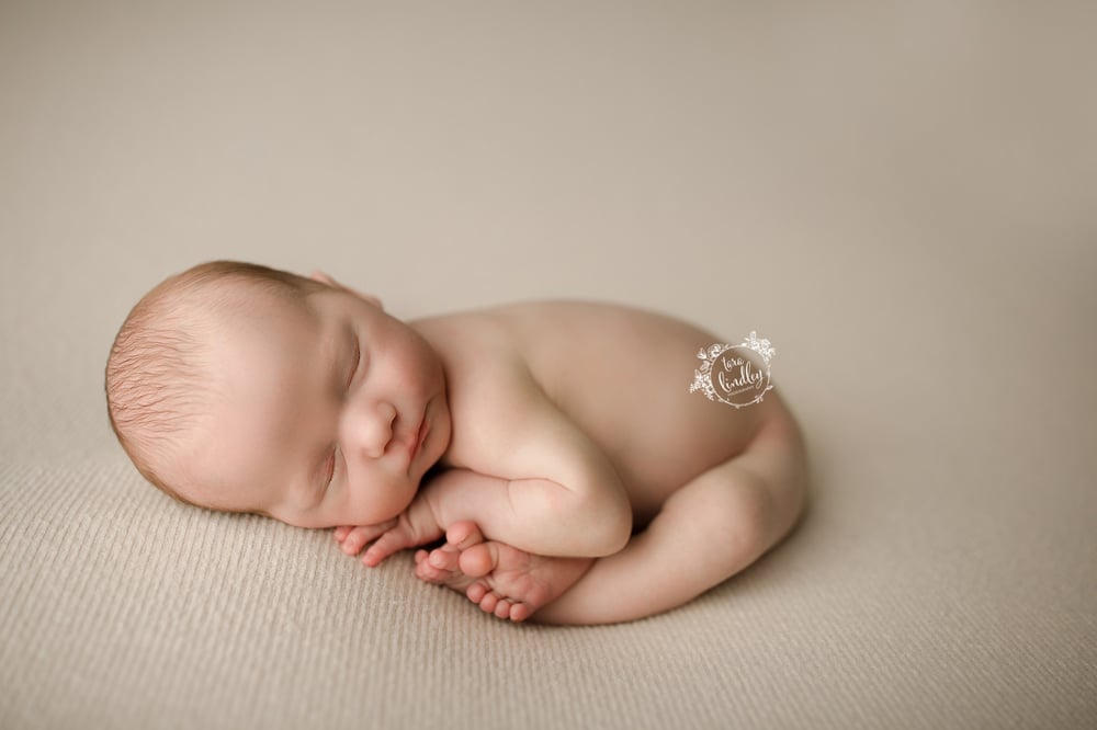 Image of Marcel thick knit beanbag backdrop