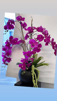 Image 2 of Cerise orchid in matt bowl