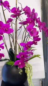 Image 1 of Cerise orchid in matt bowl