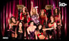 TNA Knockouts Banner 3'x5' Impact Wrestling