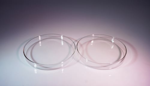 Image of Large Petri Dish Set - 6" Pair - for Liquid Light Shows