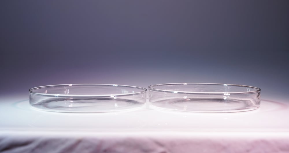 Image of Petri Dish Set - Large 7.5" Pair - for Liquid Light Shows
