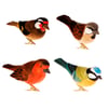 British Bird Decorative Clip (Assorted)