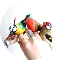 Image 3 of British Bird Decorative Clip (Assorted)