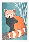 Red Panda A3 risograph print