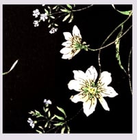 Image 3 of Tissu: Mon herbier vintage
