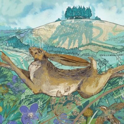 Image of MAY HILL HARE GREETINGS CARD