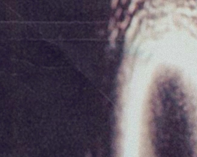 THE RING #2